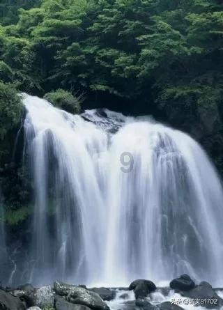 国王的坐骑