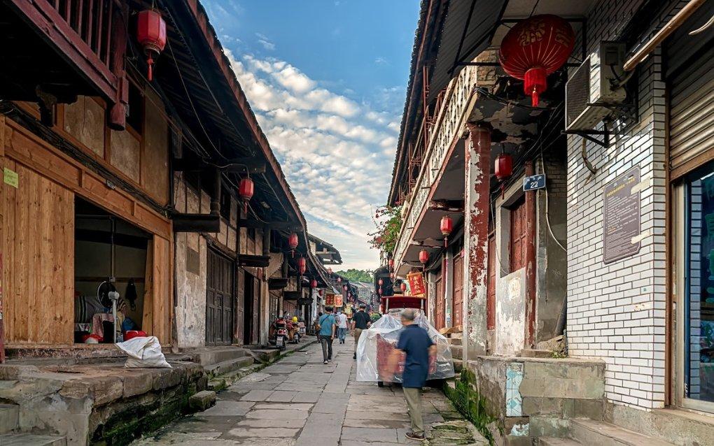 拯救精灵的土地5